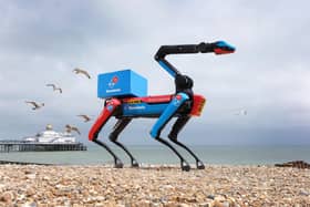 Domino's launches Domi Dog