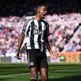 Newcastle player Alexander Isak reacts during the Premier League match between Newcastle United FC and Everton FC at St James' Park on May 25, 2025 in Newcastle upon Tyne, England. (Photo by Stu Forster/Getty Images)