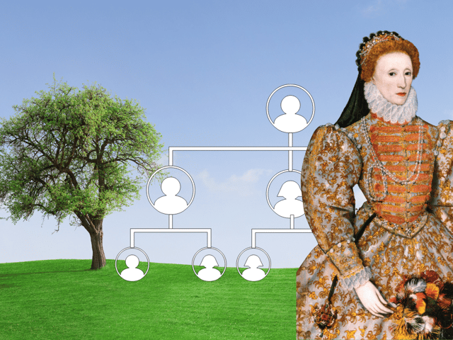 Could your family tree connect you to royalty? Even Queen Elizabeth I might be a distant relation – if you’ve got the right surname.
