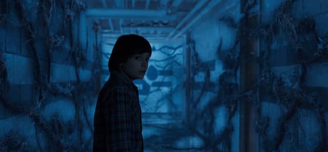 Will Byers in The Upside Down in Stranger Things