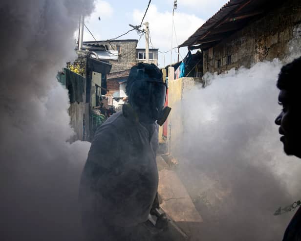 The risk of the chikungunya virus spreading to the EU has been classed as ‘high’ by the ECDC. 