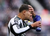 Bruno Guimaraes of Newcastle United splashes water on his face prior to the Premier League match between Newcastle United and Arsenal at St James' Park on September 28, 2025 in Newcastle upon Tyne, England. (Photo by Stu Forster/Getty Images)