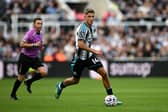 Newcastle United midfielder Sean Steur (Photo by Paul ELLIS / AFP via Getty Images)