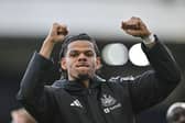 Newcastle United's Danish striker #10 William Osula thanks supporters at the end of the team's victory in the English Premier League football match between Crystal Palace and Newcastle United at Selhurst Park in south London on October 25, 2026. (Photo by Glyn KIRK / AFP via Getty Images)