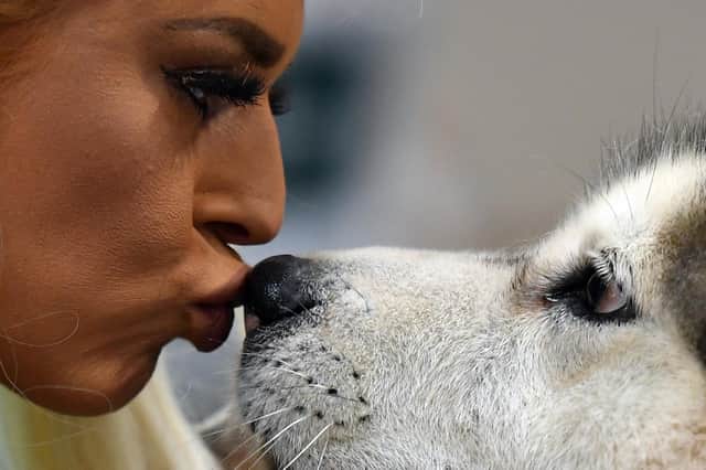 PET LOVERS: Bond is strong. Photo: Getty Images