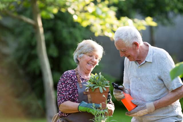 Brits wanting a blooming or edible garden this spring and summer are being offered tips to get ahead on the gardening