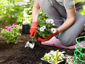 Green-fingered Brits are being offered tips on which gardening jobs they should get ahead of in March