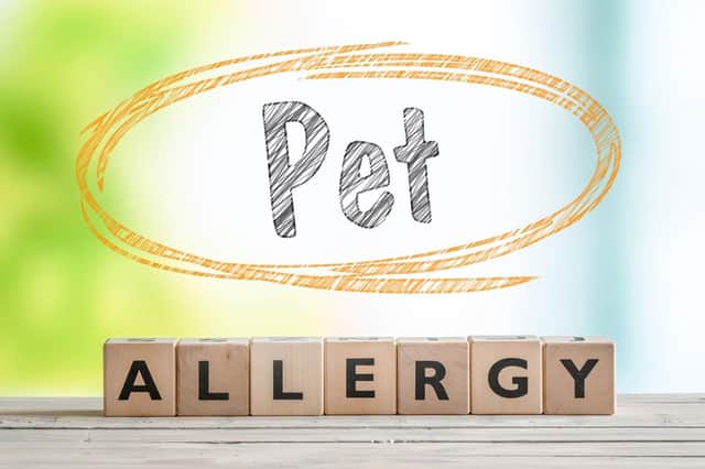 Pets can suffer from hayfever (photo: adobe)