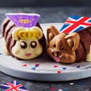 Connie has been given the royal treatment with a makeover fit for a Queen with her corgi​ pal who is adorned with a Union Jack cape
