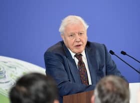 David Attenborough takes the top spot with 17 percent of votes from a pick of 30  celebrities