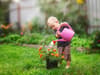 Great ideas for your getting your kids into gardening and keeping them busy during the summer holidays