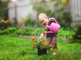 Tips to get your youngsters out into the garden