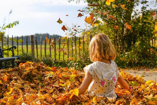 Fun doesn't have to be expensive: Free activities for October half term