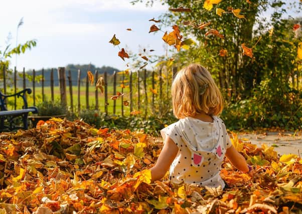 Fun doesn't have to be expensive: Free activities for October half term