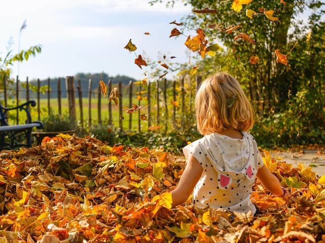 Fun doesn't have to be expensive: Free activities for October half term