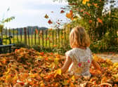 Fun doesn't have to be expensive: Free activities for October half term