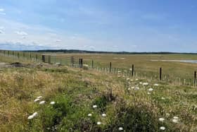 The restored Shotton surface mine site near Cramlington