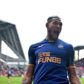 Newcastle United midfielder Joelinton celebrates his equaliser.