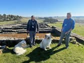 National Trust Volunteers and Dog Rangers, Tom Millmore and Mr Darcy and Charlie Wainwright and Bear at Housesteads Roman Fort in Northumberland