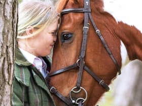 Finding the right fit for your child – this Sunderland equestrian programme can help disengaged children to learn