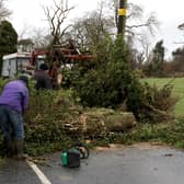 The Met Office is telling the public to be aware of falling trees.
(Generic file photo from Pacemaker Press).