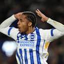 Joao Pedro of Brighton & Hove Albion will likely leave this summer with Newcastle, Liverpool and Arsenal said to be keen.
