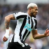 Joelinton of Newcastle United in action during the Premier League match between Newcastle United and Tottenham Hotspur at St. James Park on April 23, 2023 in Newcastle upon Tyne, England. (Photo by Clive Brunskill/Getty Images)