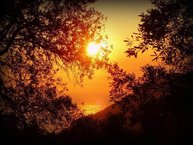 How will you be celebrating 2022's summer solstice?