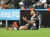 Callum Wilson issues Newcastle United injury update that will excite fans 