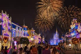 Fireworks over Magic Kingdom - Walt Disney World Orlando