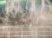 The Thingyan Water Festival is one of Myanmar's biggest public holidays (photo: Adobe)