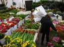 Mother's Day in the UK is coming up soon. (Photo by Patrick T. FALLON / AFP) (Photo by PATRICK T. FALLON/AFP via Getty Images)
