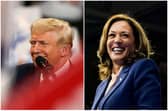 The contenders: Donald Trump and Kamala Harris