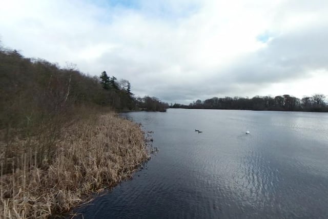 Bolam Lake's surroundings speak for themselves. The Northumberland spot has a good mix of lakeside and forest walks and has a cafe which is open between 10am and 4pm from April until September and 10am until 3pm from October through to March.