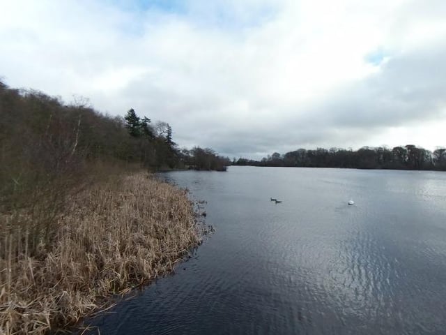 Bolam Lake's surroundings speak for themselves. The Northumberland spot has a good mix of lakeside and forest walks and has a cafe which is open between 10am and 4pm from April until September and 10am until 3pm from October through to March.