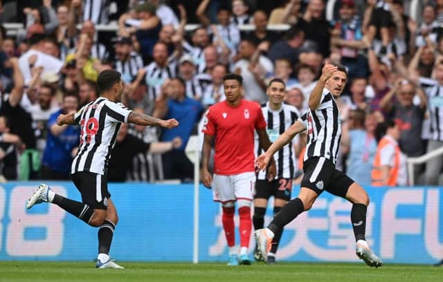 Newcastle United haven't won in the league since opening day, but it's far from panic stations (Photo by Stu Forster/Getty Images)