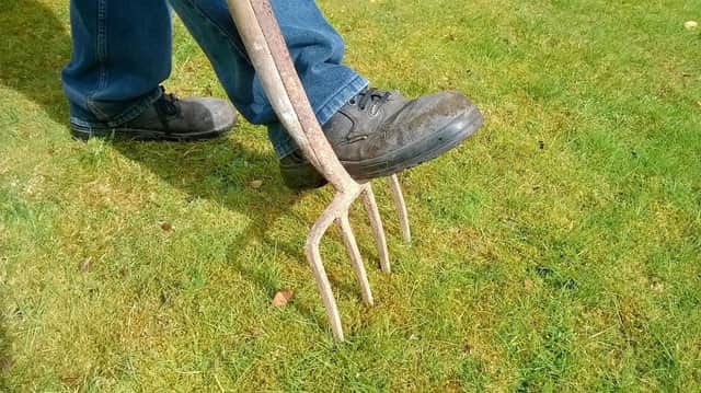 Lawns under attack sometimes need a bit of help to recover and look their best