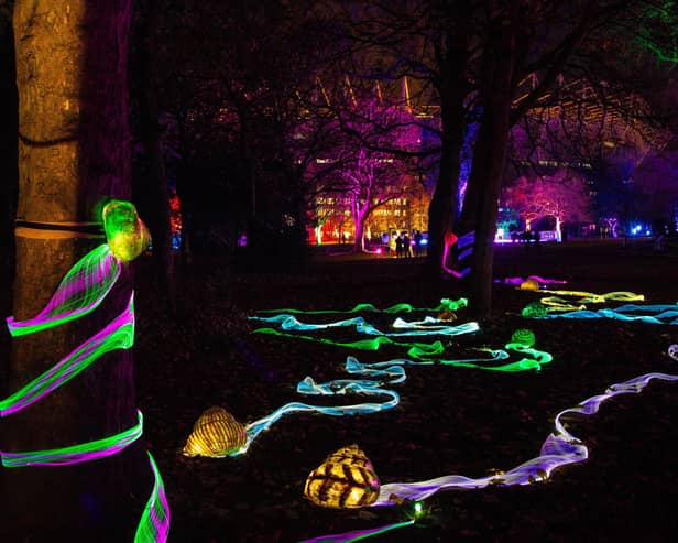 [Image: Northern Lights Newcastle]