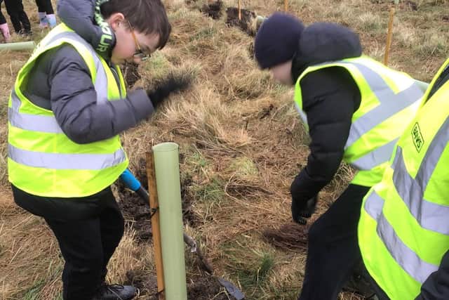 Children from St Patrick’s Primary School in Dipton planting trees at the Bradley site