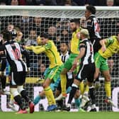 Newcastle United drew 1-1 with Norwich City at St James's Park in November (Photo by OLI SCARFF/AFP via Getty Images)