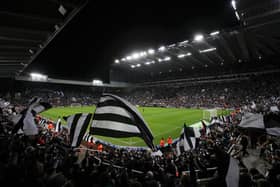 St James's Park. (Photo by George Wood/Getty Images)