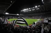 St James's Park. (Photo by George Wood/Getty Images)