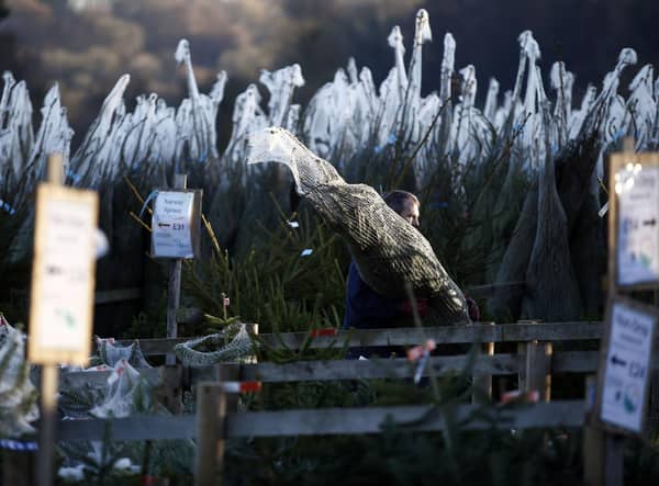 (Photo credit should read ADRIAN DENNIS/AFP via Getty Images)