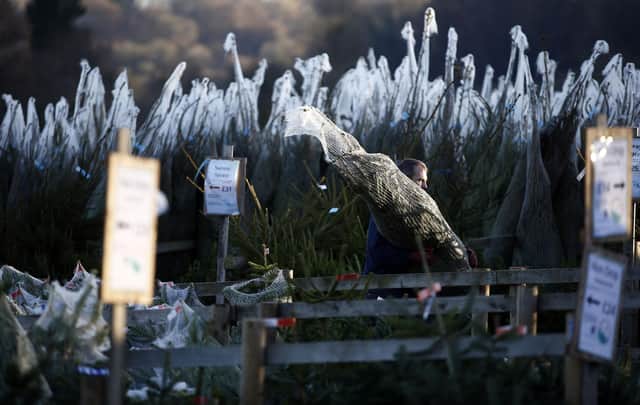 (Photo credit should read ADRIAN DENNIS/AFP via Getty Images)