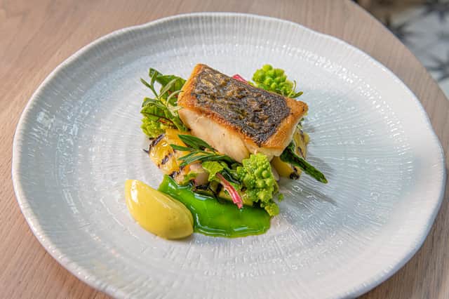 Pan fried stone bass served in Harry's Bar & Kitchen. Image: James Nader