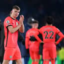 Former Tottenham Hotspur and Aston Villa manager Tim Sherwood has urged Newcastle United to sign Brighton & Hove Albion’s in-form teen scoring sensation Evan Ferguson. Picture by Shaun Botterill/Getty Images