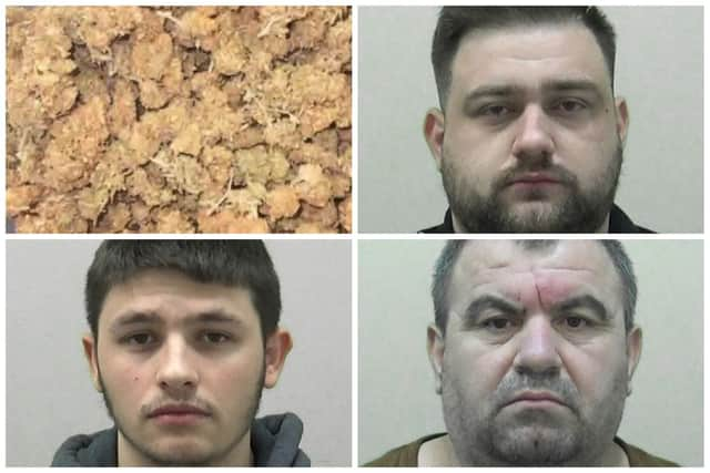 Cannabis farmers jailed after £800,000 farm shut down in Gateshead