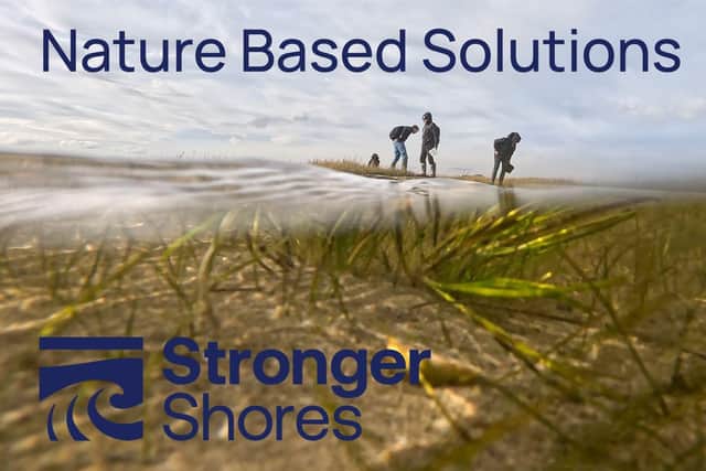 Stronger Shores.