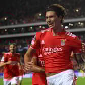 Benfica striker Darwin Nunez 