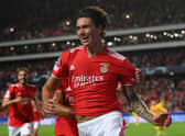 Benfica striker Darwin Nunez 